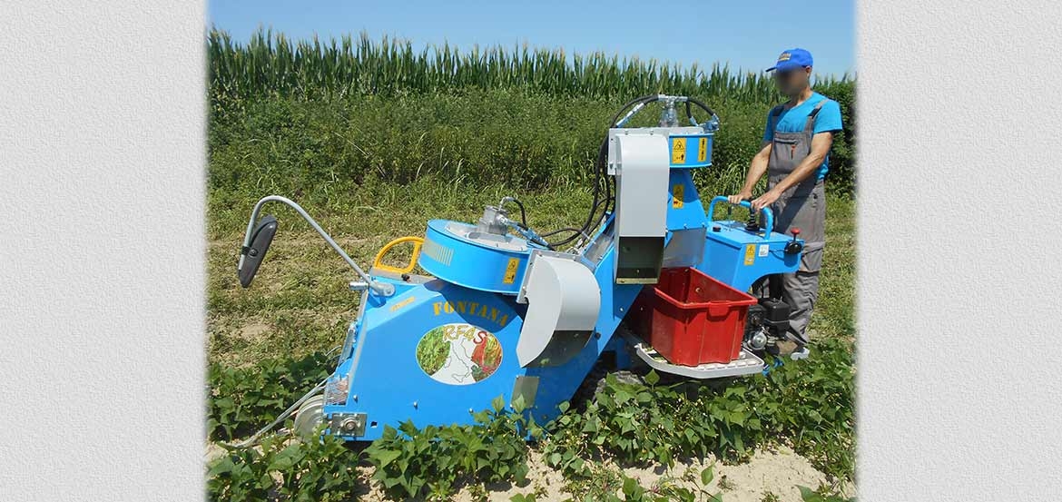 Single-row self-propelled crawler harvesting machine model RF4S for green beans, beans, edamame for fresh market